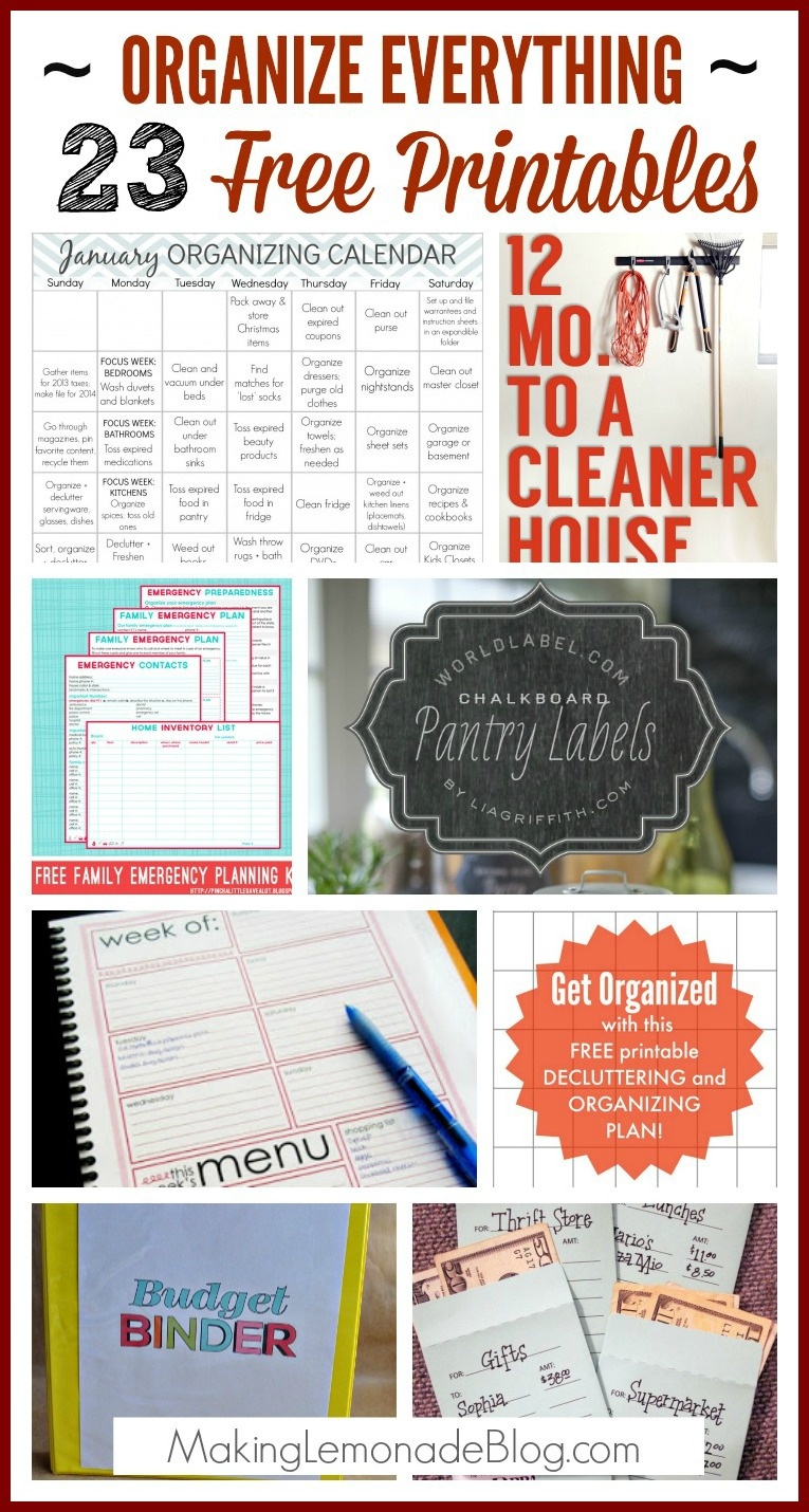 23 Free Printables To Organize Everything | Making Lemonade - Free Printable Household Binder