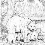 Animal Coloring Pages For Kids   Baby Animals Coloring Pages Free   Free Printable Pictures Of Baby Animals