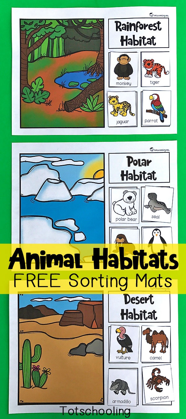 Animal Habitats Sorting Mats | Totschooling - Toddler, Preschool - Free Printable Animal X Rays