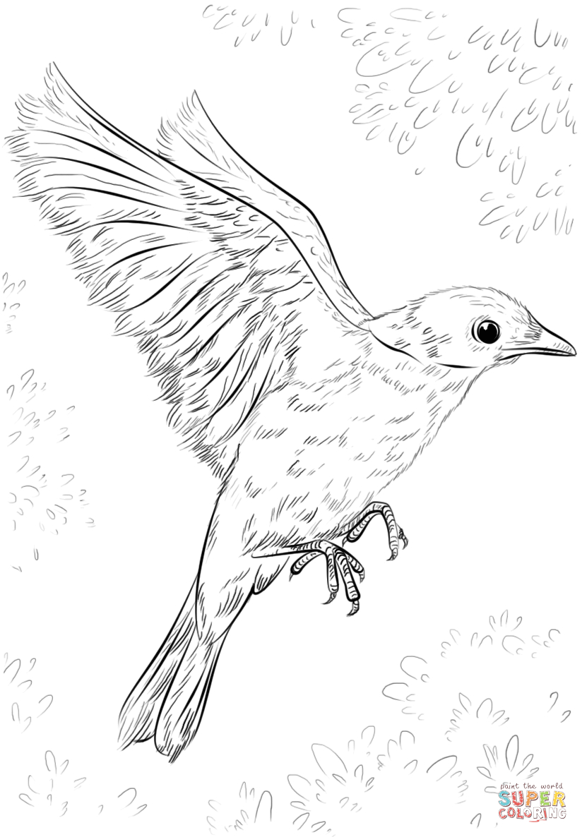 Blue Bird Flying Coloring Page | Free Printable Coloring Pages - Free Printable Images Of Birds
