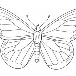 Butterflies Coloring Pages Monarch Butterfly Coloring Page Free   Free Printable Butterfly