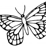 Butterfly Coloring Pages | Free Download Best Butterfly Coloring   Free Printable Butterfly Coloring Pages