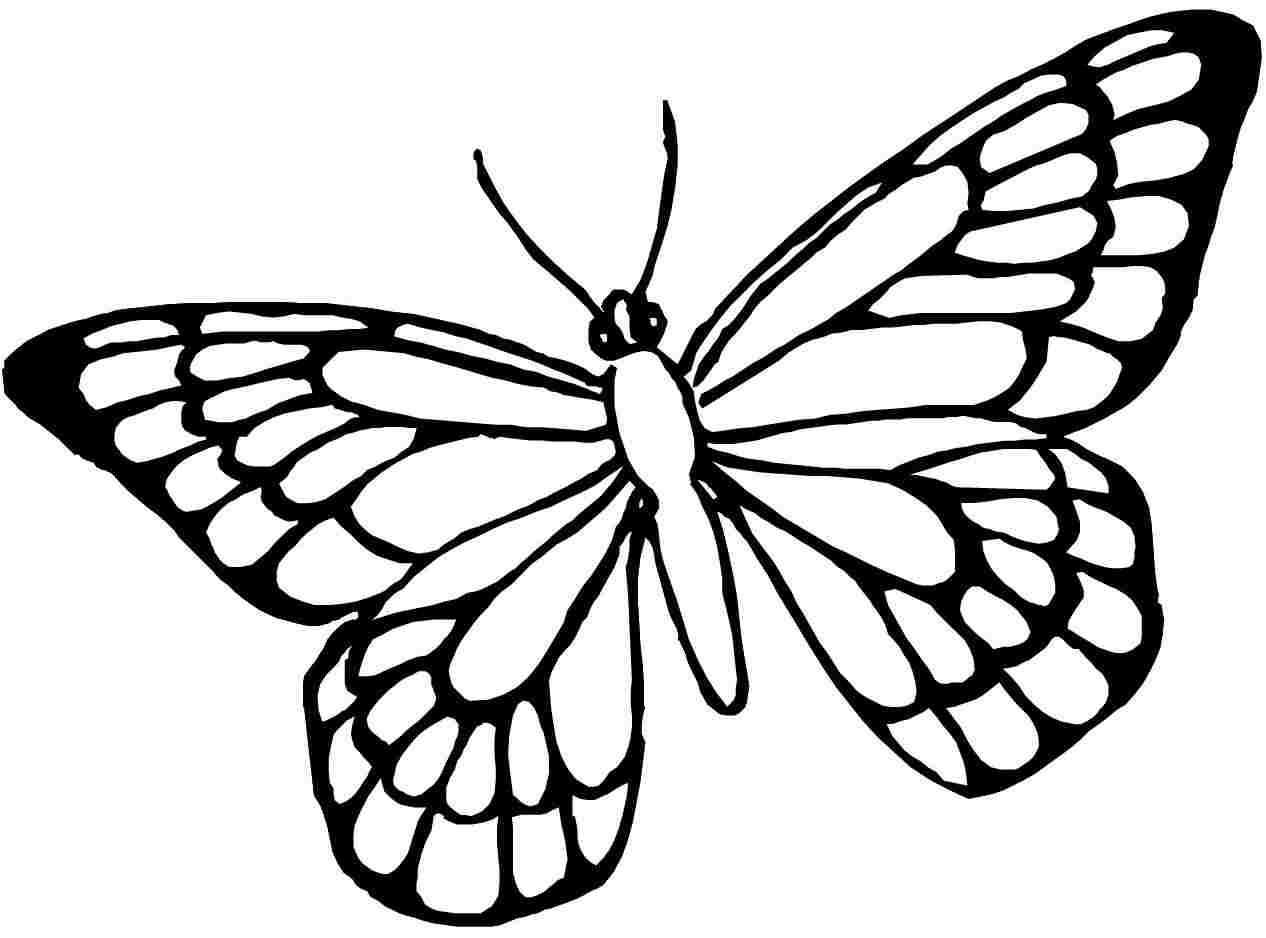 Butterfly Coloring Pages | Free Download Best Butterfly Coloring - Free Printable Butterfly Coloring Pages