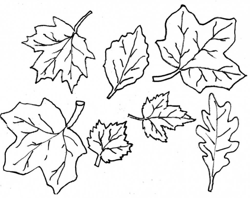 Coloring Ideas : Fall Leaves Coloringagesrintable Ideasage Weird - Free Printable Leaf Coloring Pages