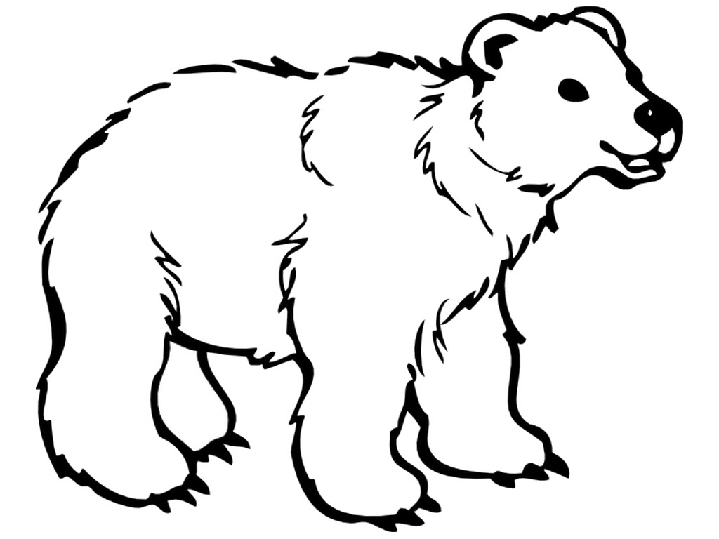 Cute Polar Bear Coloring Pages — Classic Style : Printable Polar - Polar Bear Printable Pictures Free