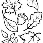 Fall Leaves And Acorn Coloring Page | Free Printable Coloring Pages   Free Printable Leaf Coloring Pages