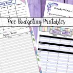 Free Budgeting Printables: Expense Tracker, Budget, & Goal Setting   Free Printable Finance Sheets