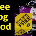 Free Dog Food Cesar Dog Food Coupon Voucher ~ I Got Over $2500   Youtube   Free Printable Dog Food Coupons
