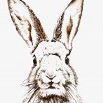 Free Easter Printable & Vintage Clip Art | Free Printables   Free Printable Bunny Pictures