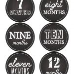 Free Printable Babies First Year Sticker Labels Or Use It To Count   Free Printable Months Of The Year Labels