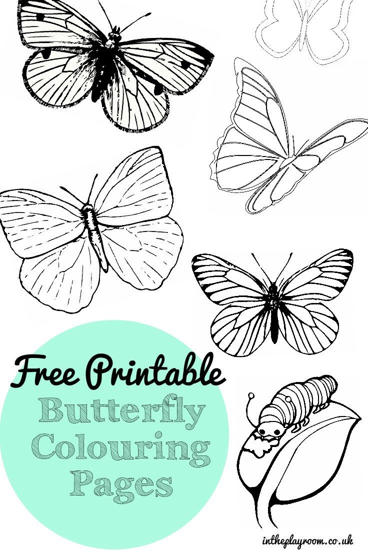 Free Printable Butterfly Colouring Pages - In The Playroom - Free Printable Butterfly Pictures