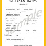 Free Printable Forklift Certification Cards Ideal Forklift   Free Printable Forklift License Template