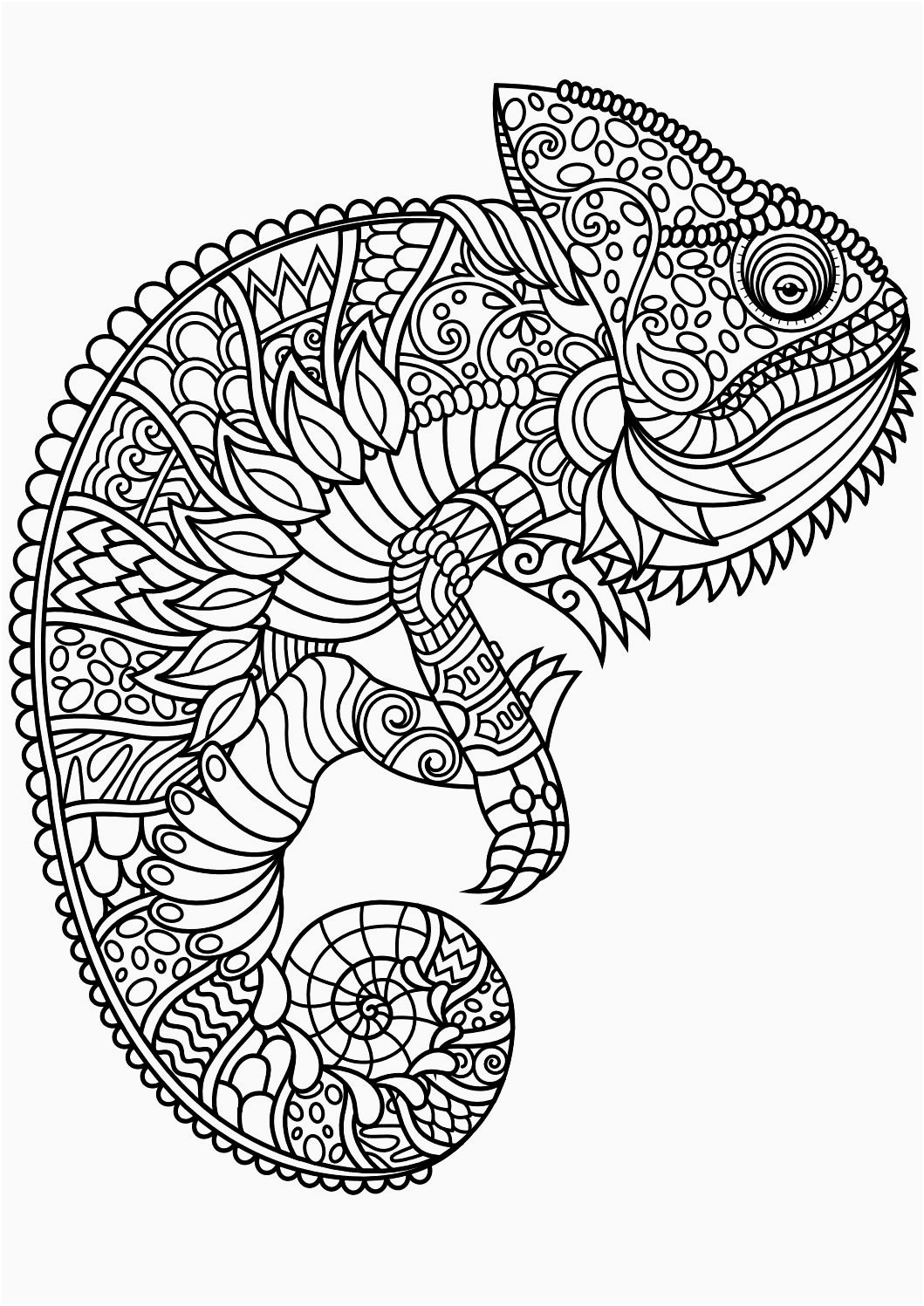 Free Printable Poodle Template – Dachsund Coloring Pages Poodle - Free Printable Poodle Template