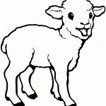 Free Printable Sheep Coloring Pages For Kids   Free Printable Pictures Of Sheep