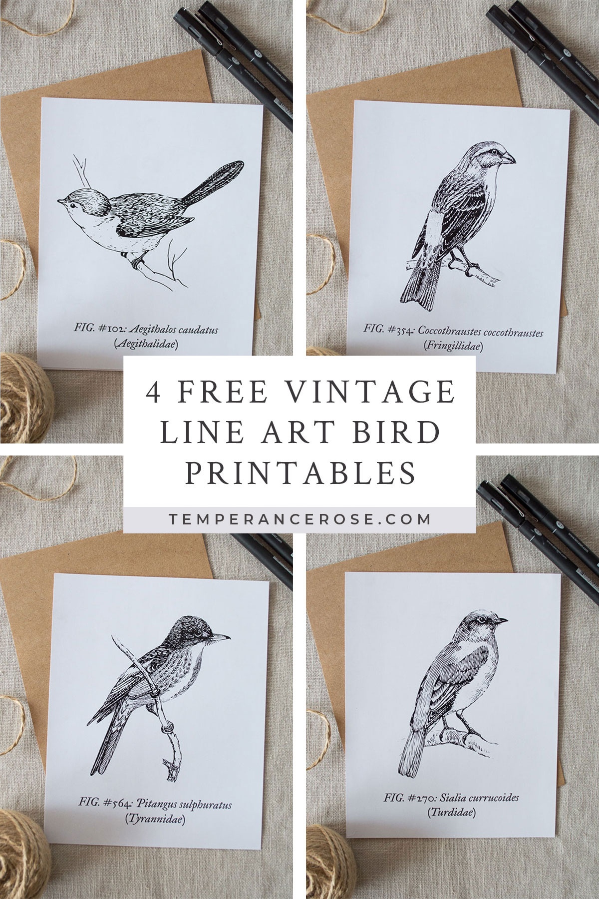 free-printable-images-of-birds-free-printable-a-to-z
