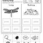 Freebie! No Prep Kindergarten Science Doodle Printables | T E A C H   Free Printable Science Worksheets For Grade 2
