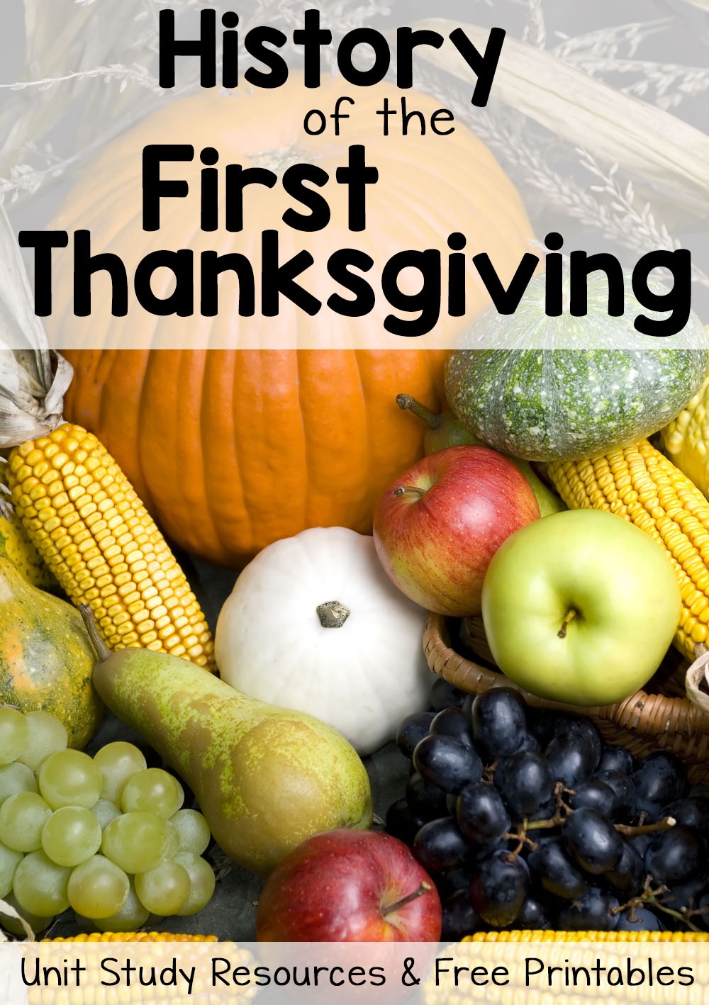 History Of Thanksgiving: Free Printables And Unit Study Resources - Free Printable Thanksgiving Math Worksheets For 3Rd Grade