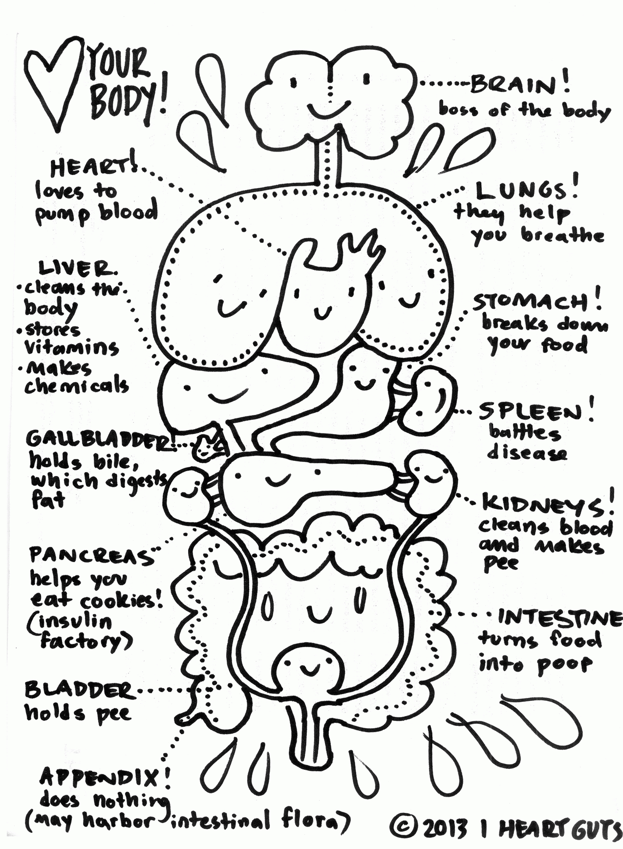 I Heart Guts €  Tagged &amp;quot;anatomy Coloring Book&amp;quot; - Coloring Home - Free Anatomy Coloring Pages Printable