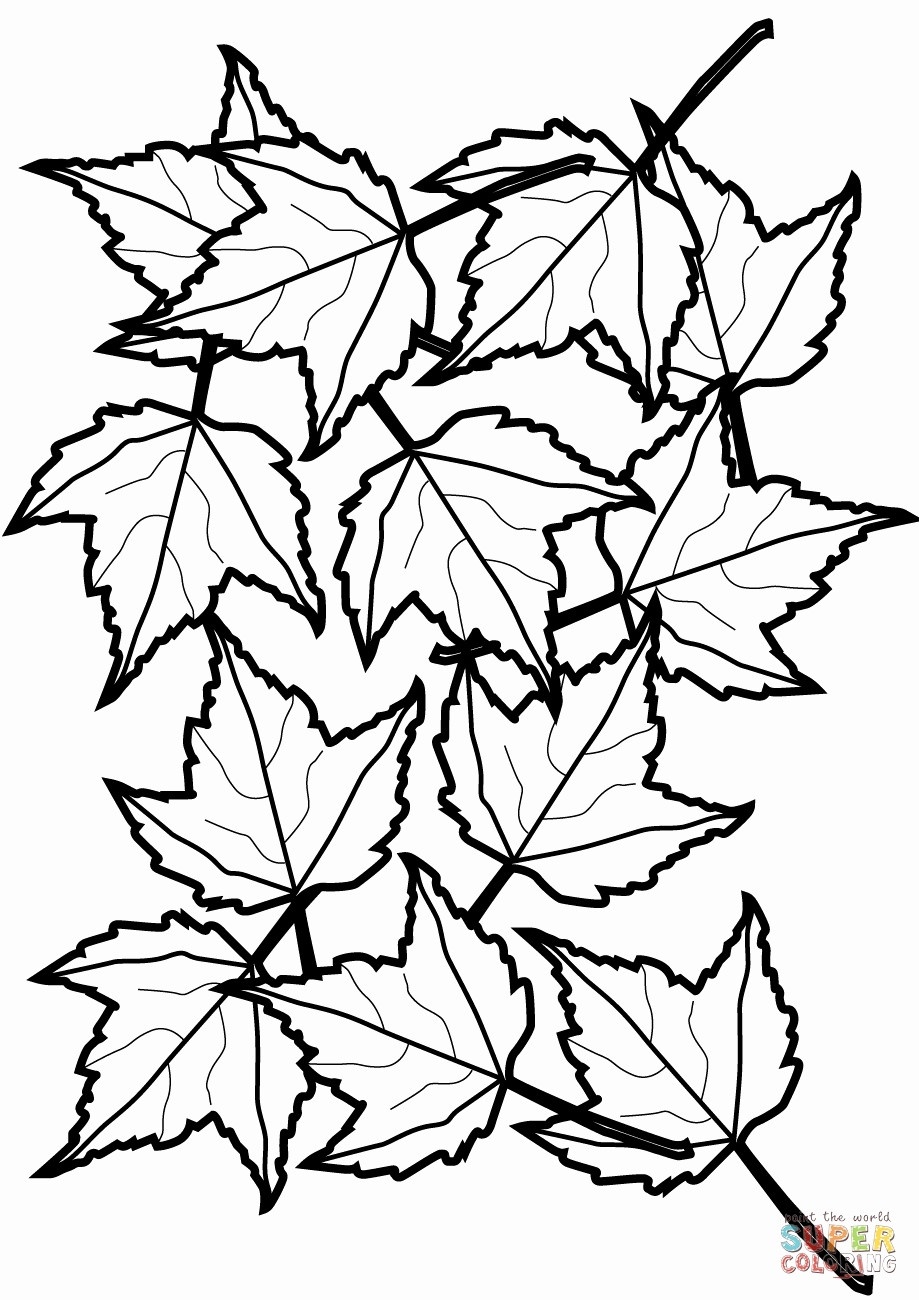 Leaf Coloring Page Cooloring Book Fall Leaves Coloring Sheet Free - Free Printable Leaf Coloring Pages