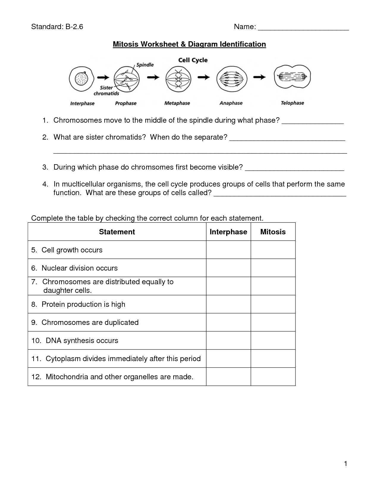 Mitosis Worksheet | Cells, Photosynthesis, Mitosis | Biology Lessons - Free Printable Biology Worksheets For High School