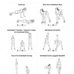 Printable Workout Plans For Men | Hauck Mansion   Free Printable Gym Workout Routines