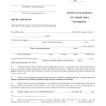 South Carolina Separation Agreement Template 85836 Best S Of   Free Printable Divorce Papers For North Carolina
