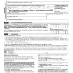 W 9 Request For Taxpayer Identification Number And Certification Pdf   Free Printable W9