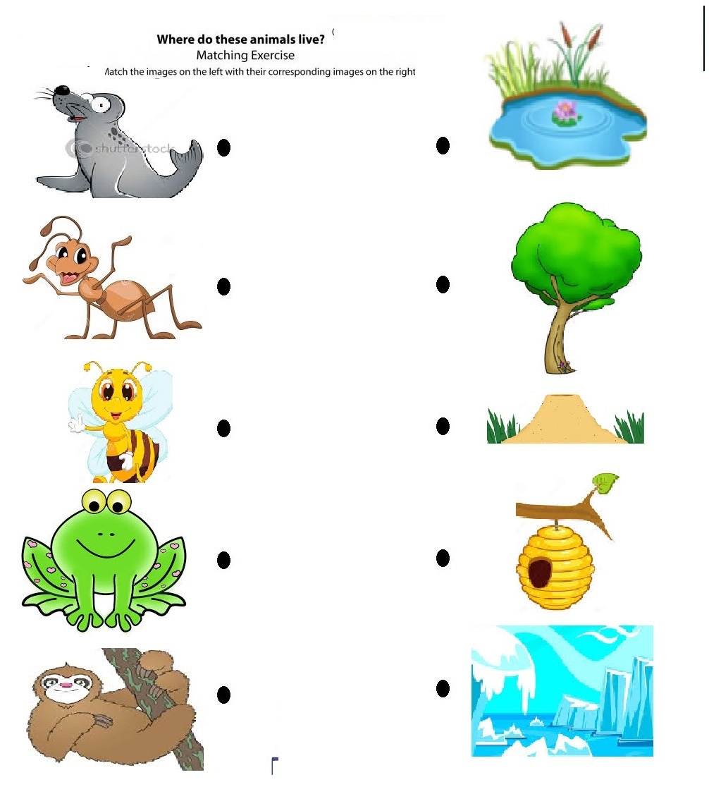 Worksheet : Free Printable Matching Animals To Their Home Habitats - Free Printable Worksheets Animal Habitats