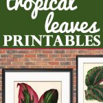 10 Free Tropical Leaves Printables   Instant Art Botanicals!   The   Free Printable Leaves