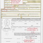 15 Ways Form Ds 15 Form | Realty Executives Mi : Invoice And Resume   Free Printable Ds 11