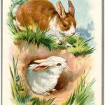 21 Easter Bunny Images Free   Updated!   The Graphics Fairy   Free Printable Vintage Easter Images