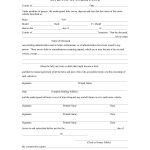 48 Sample Affidavit Forms & Templates (Affidavit Of Support Form)   Find Free Printable Forms Online