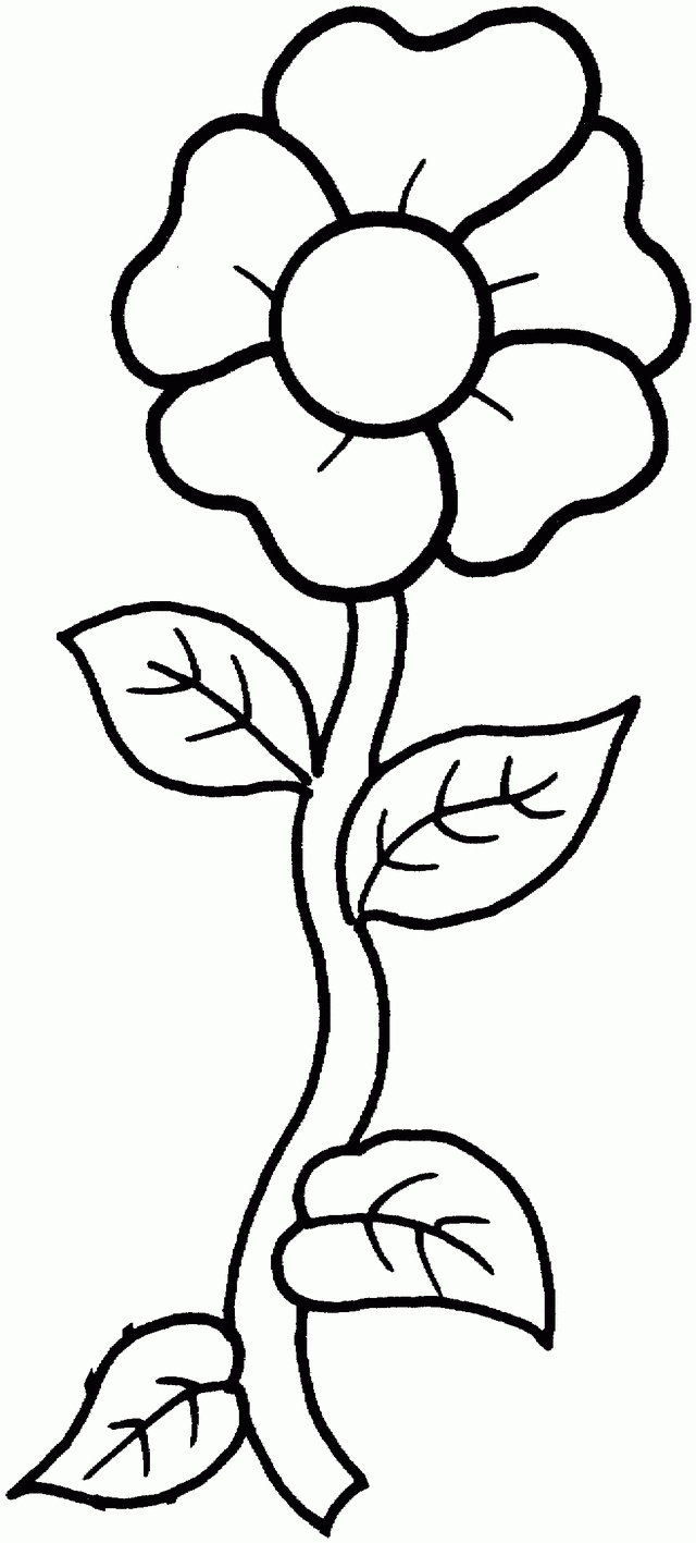 A Single Flower - Free Printable Coloring Pages- For When They Want - Free Printable Flowers
