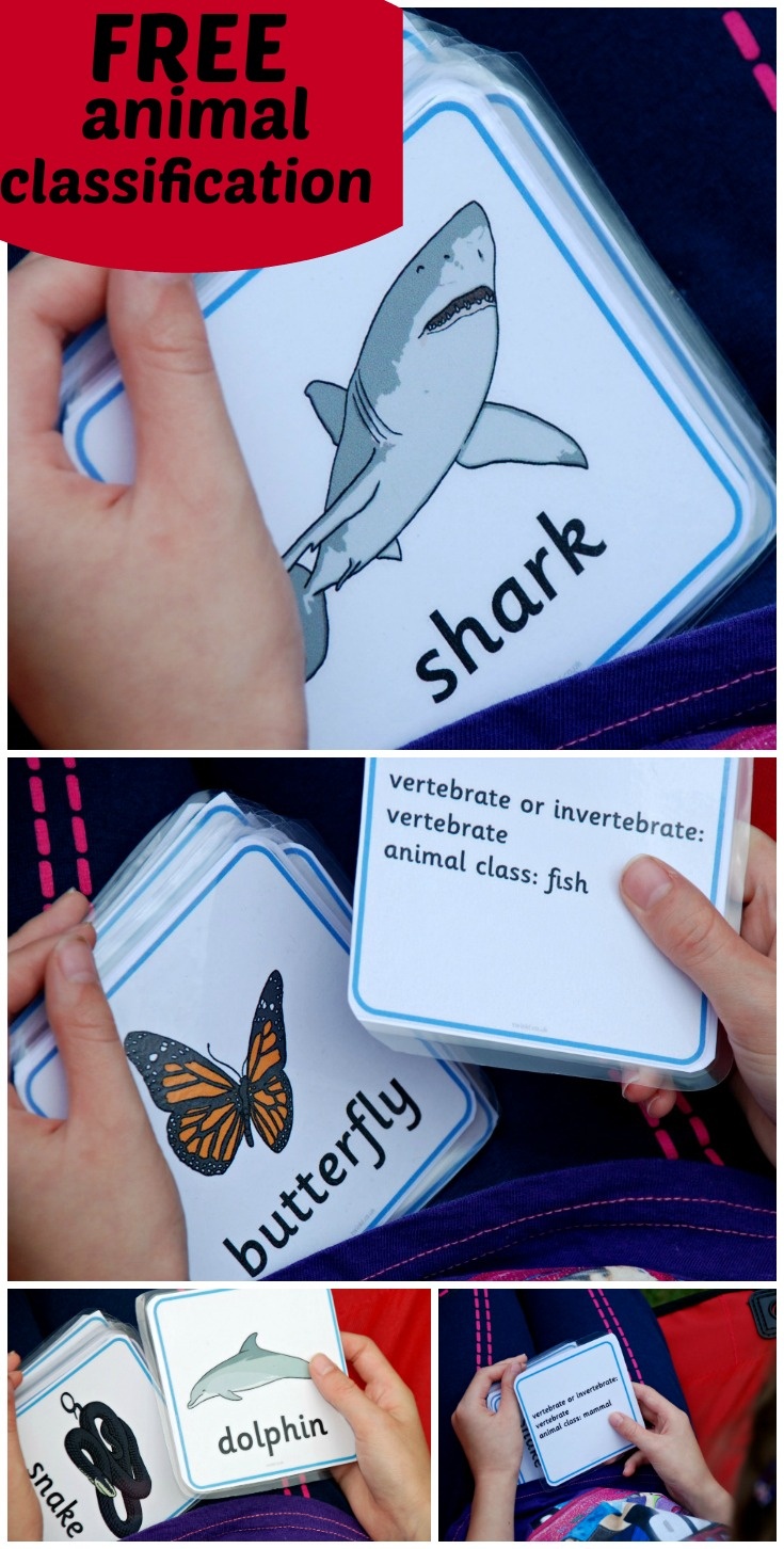 Animal Classification Cards | Ofamily Learning Together - Free Printable Animal Classification Cards