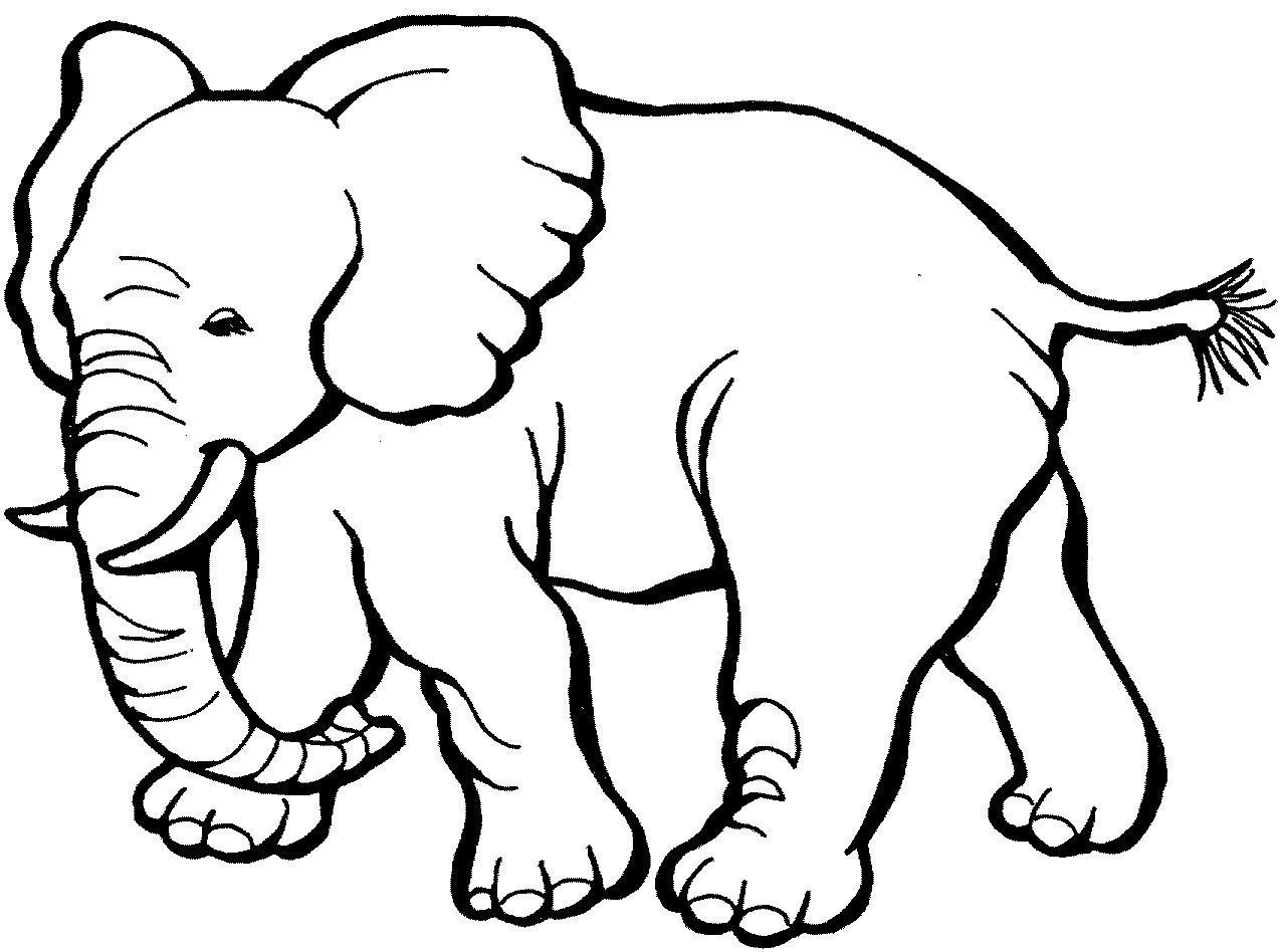 Animal Coloring Pages | Free Download Best Animal Coloring Pages On - Free Coloring Pages Animals Printable