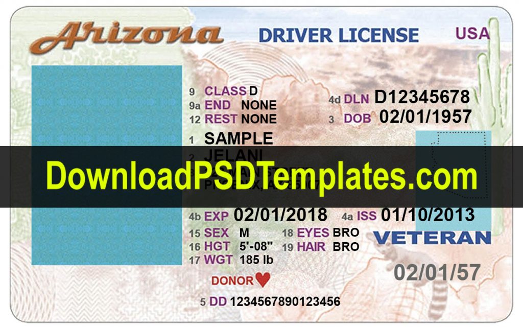 free fake drivers license template
