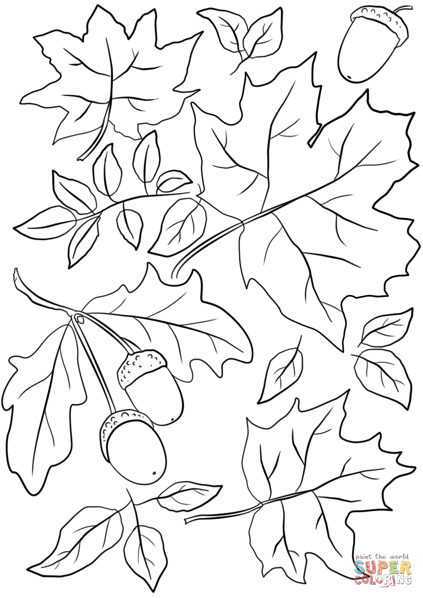 Autumn Leaves And Acorns Coloring Page | Free Printable Coloring Pages - Free Printable Pictures Of Autumn Leaves