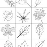 Autumn Leaves Coloring Page | Free Printable Coloring Pages   Free Printable Fall Leaves Coloring Pages