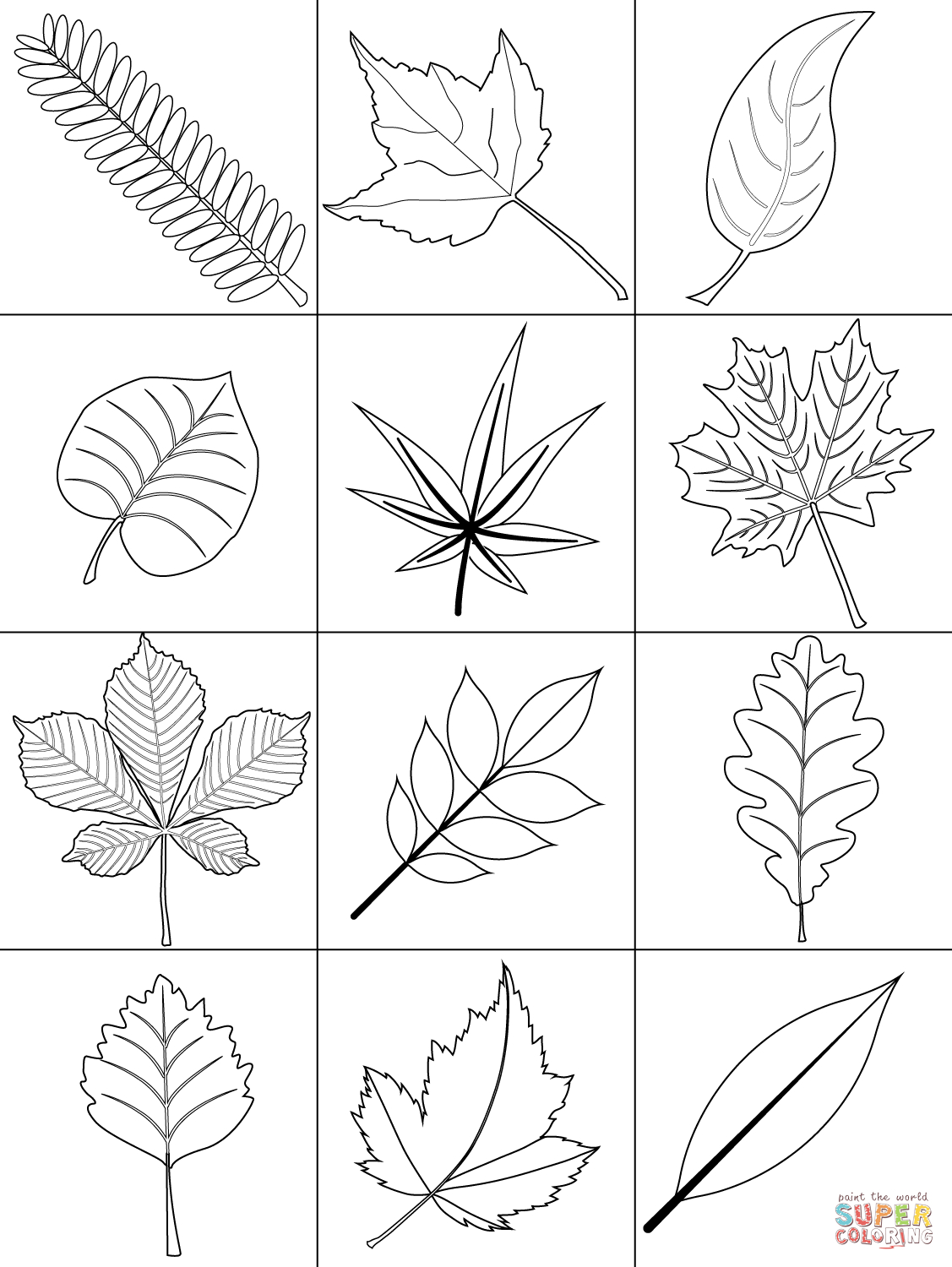 Autumn Leaves Coloring Page | Free Printable Coloring Pages - Free Printable Pictures Of Autumn Leaves