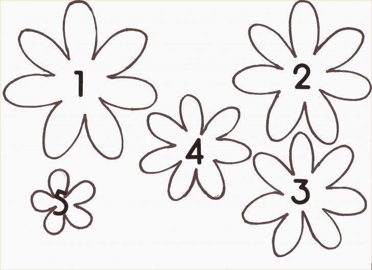 Free Printable Flower Stencils
