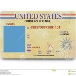 Blank Driver License Stock Photo. Image Of Current, Blank   43920380   Free Printable Fake Drivers License