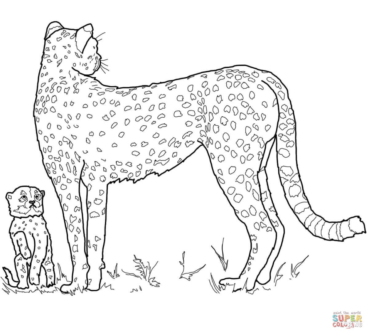 Cheetah Coloring Pages | Free Coloring Pages - Free Printable Cheetah Pictures