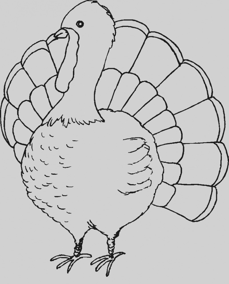 Coloring Ideas : Coloring Ideas Free Printable Turkey Pages - Free Printable Turkey