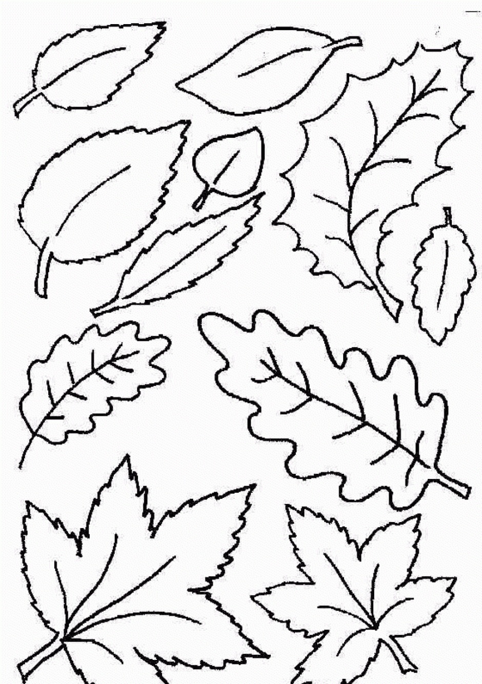 Coloring Ideas : Free Printable Leaf Coloring Pages Fall Leaves And - Free Printable Pictures Of Autumn Leaves