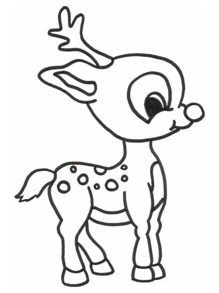 Coloring ~ Woodland Animal Coloring Pages Image Inspirations - Free Printable Realistic Animal Coloring Pages