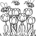 Coloring+Pages+Tulips | Printable Tulip Coloring Pages | Kids   Free Printable Tulip Coloring Pages