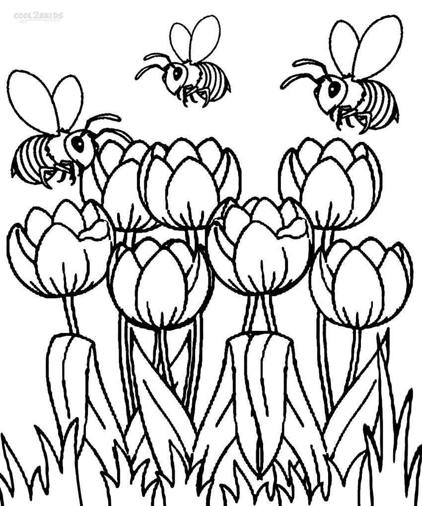 Coloring+Pages+Tulips | Printable Tulip Coloring Pages | Kids - Free Printable Tulip Coloring Pages
