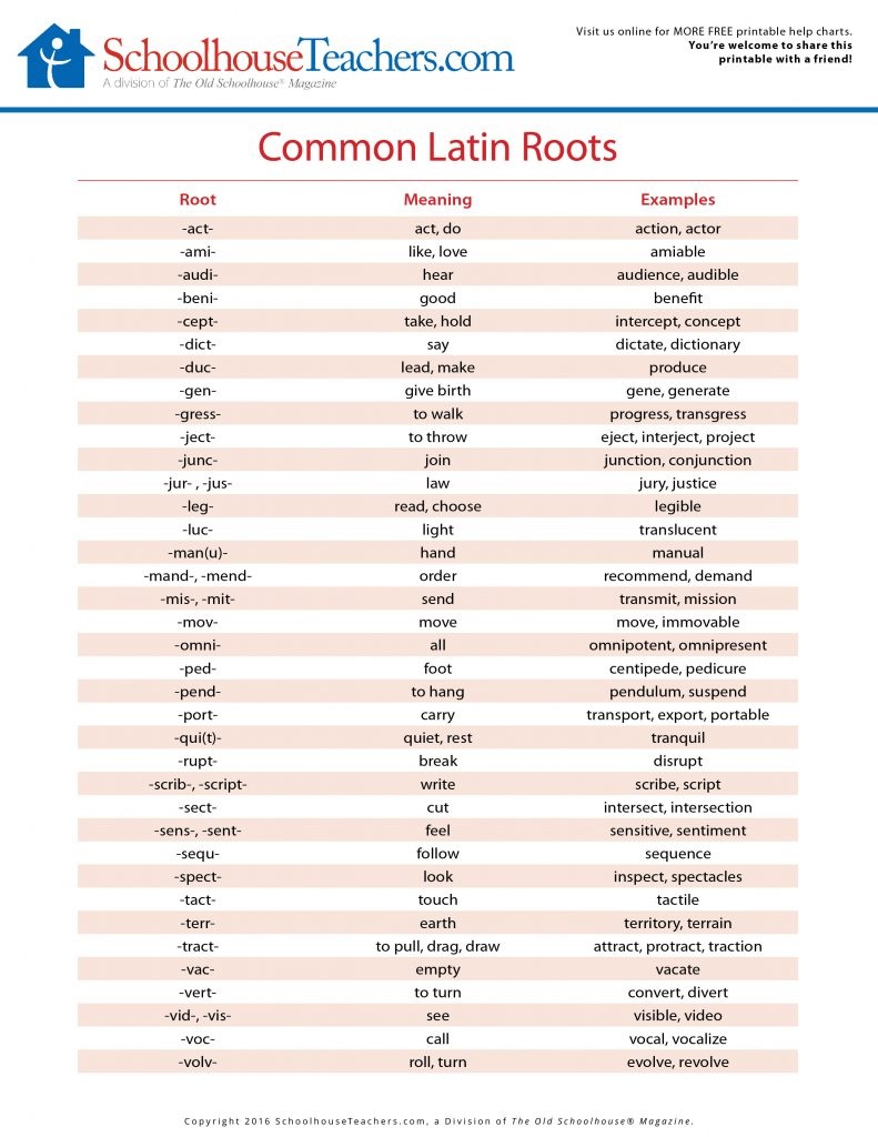 Greek Latin Root Words Anti