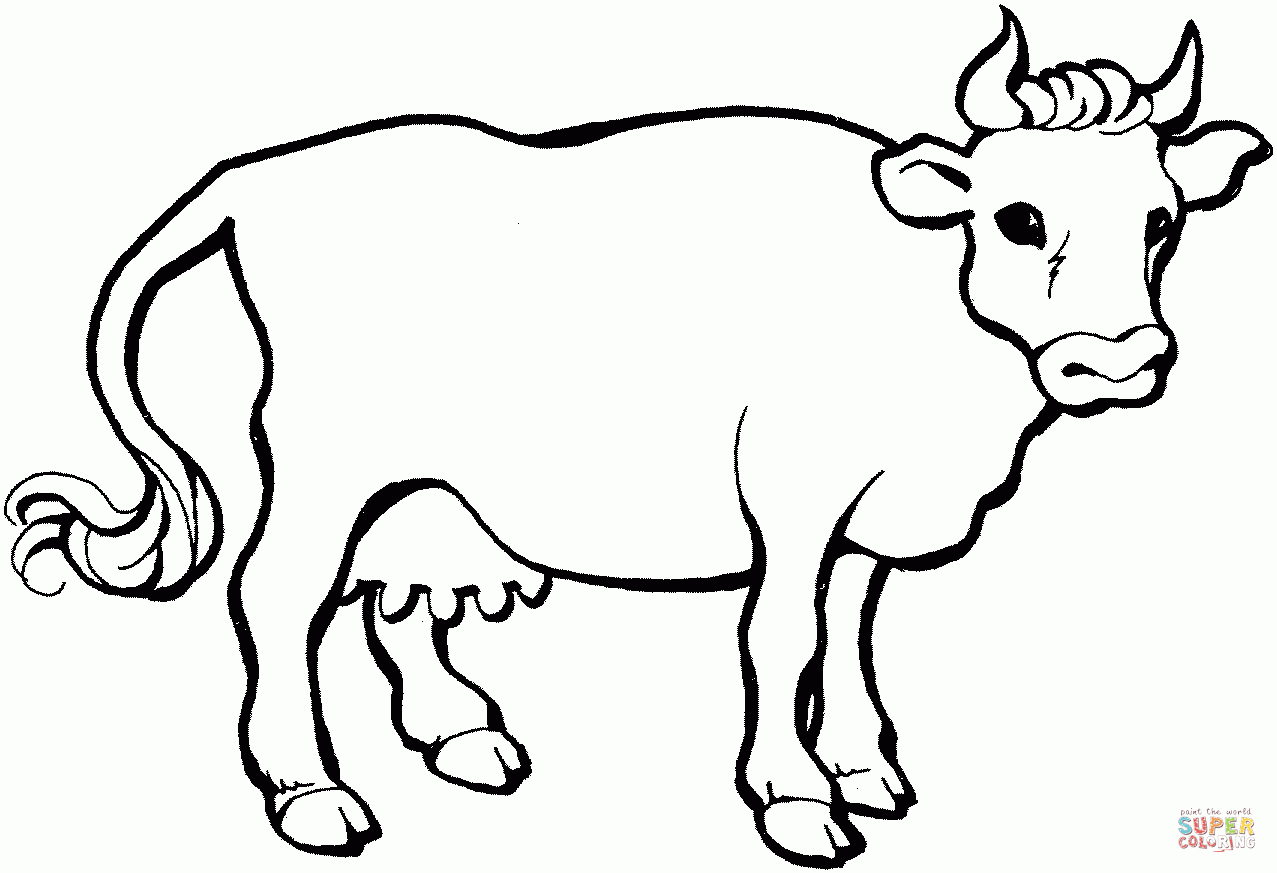 Cow 21 Coloring Page | Free Printable Coloring Pages - Coloring Pages Of Cows Free Printable