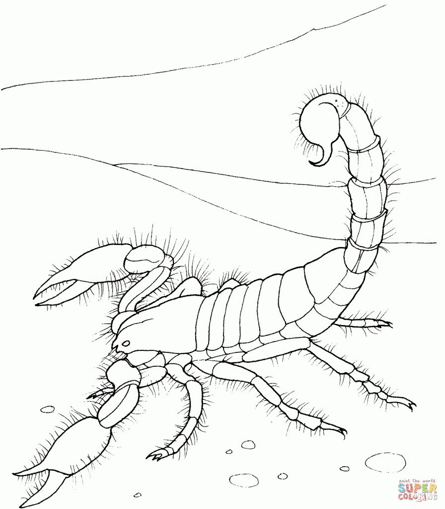 Desert Animals Coloring Pages | Free Printable Pictures - Free